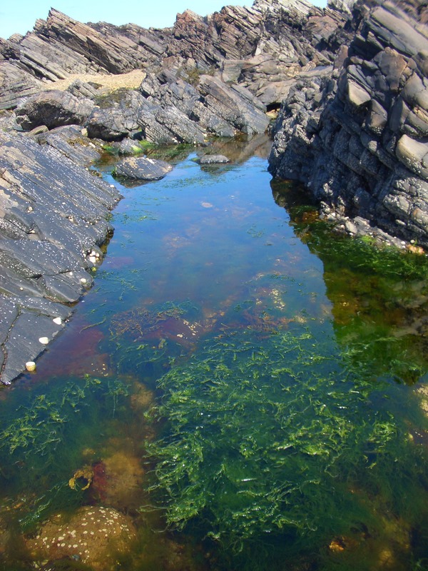 Steinstrand Sleithel