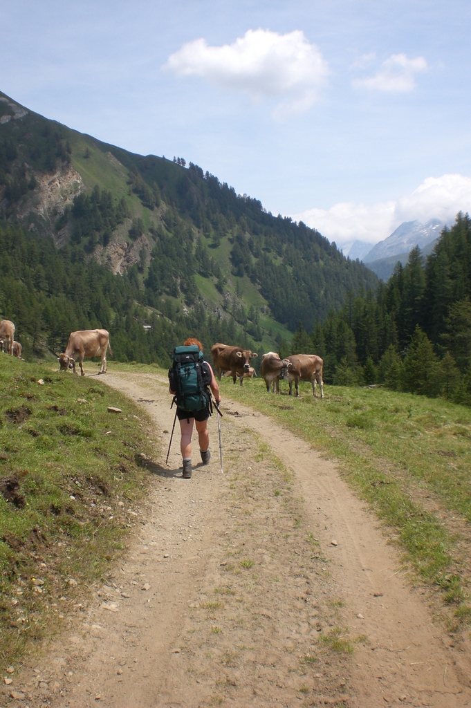 Der Weg nach Binn