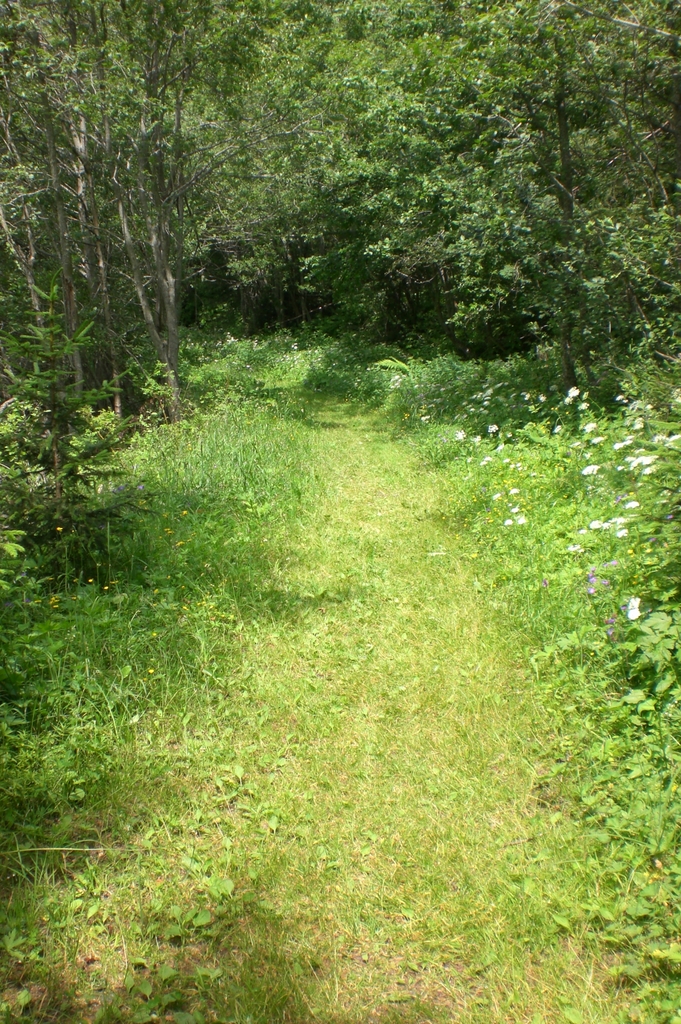 Leewald vor Binn