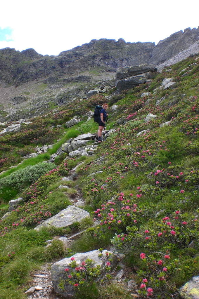 Passo di Piatto