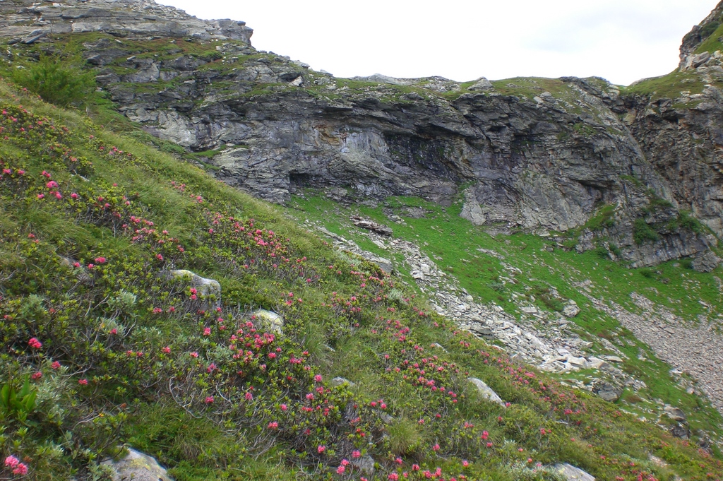 Passo di Piatto