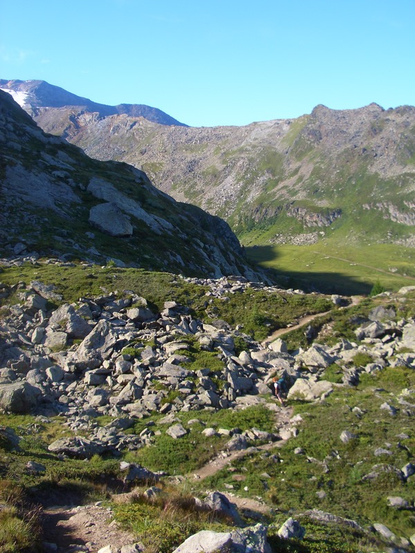 Der Weg zur Alm (Alpe)